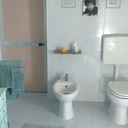 Zimmy's House Bolonya